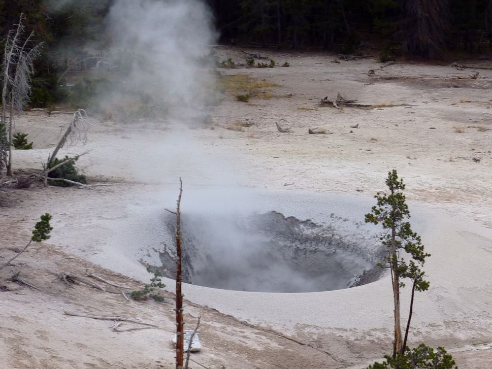 Yellowstone Mud Volcano Area (31).JPG